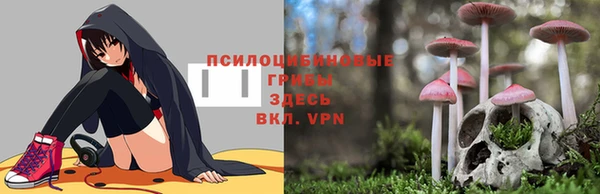 ALPHA PVP Арсеньев