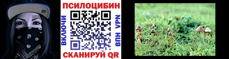 Псилоцибиновые грибы Magic Shrooms  hydra ONION  Ясногорск 